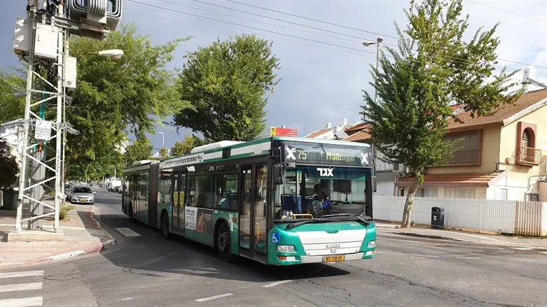 Автобус (файл)