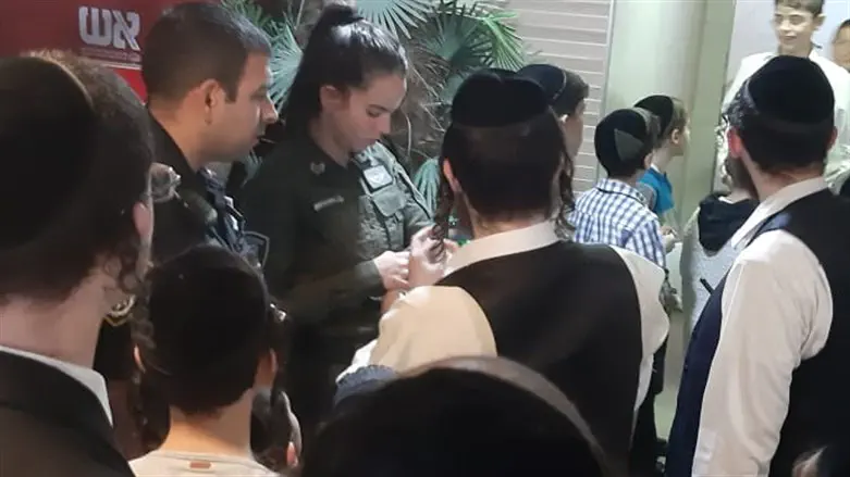 הנשטרה עם המתנדבים