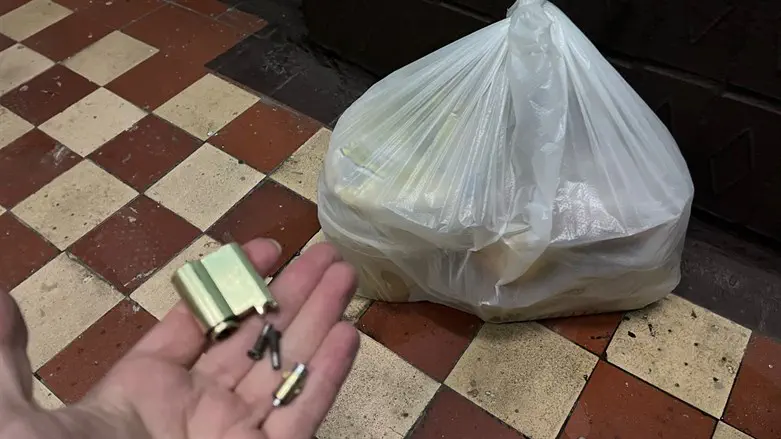 זעקת הגלמודים