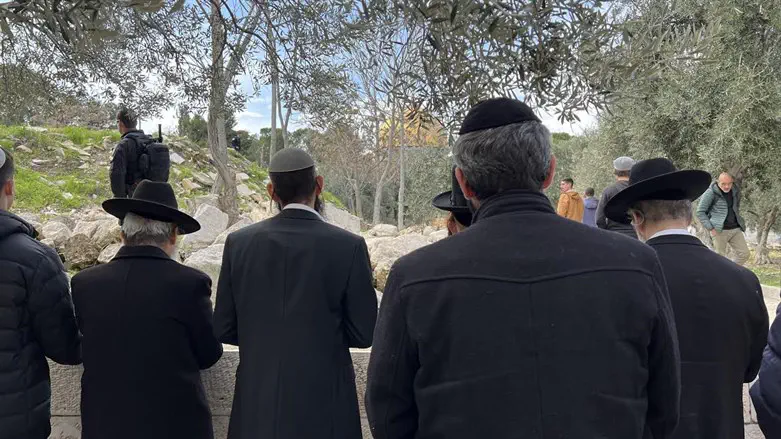 יהודים בהר הבית