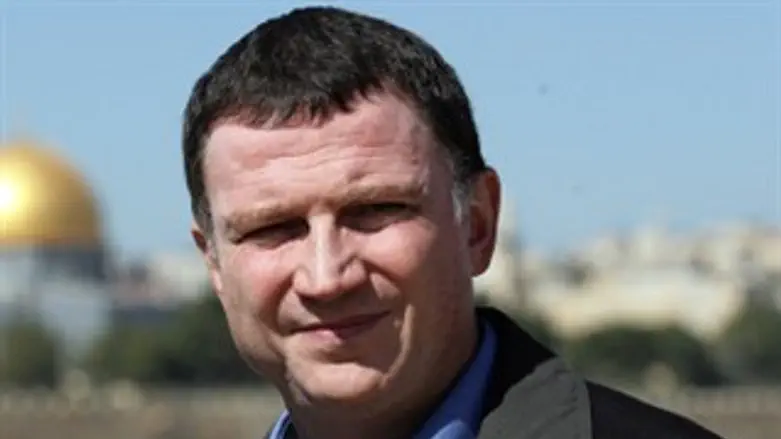 לחגוג את ישראל. השר אדלשטיין