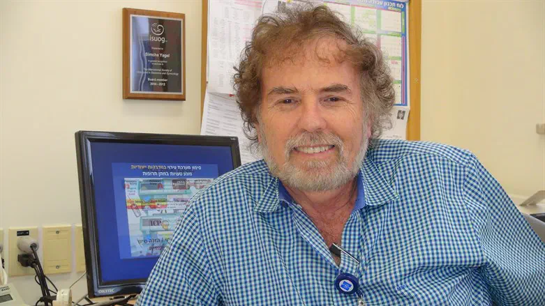 פרופ' שמחה יגל