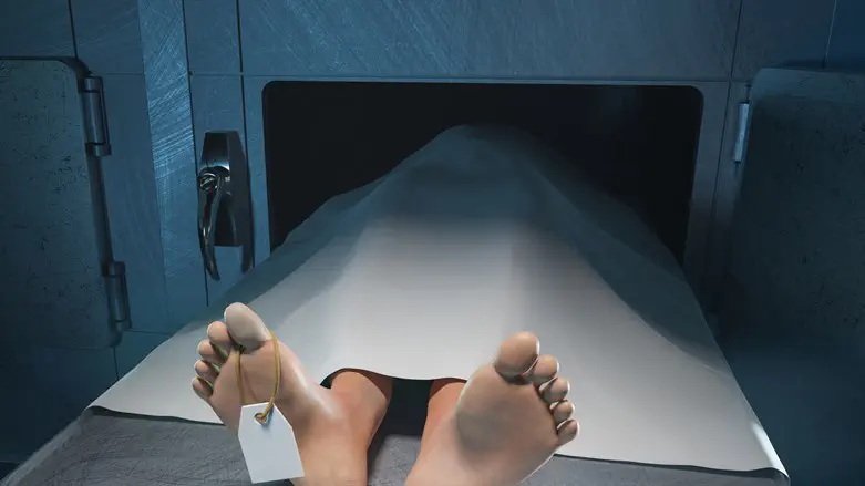 אילוסטרציה