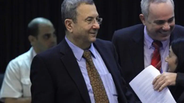 ברק ושטייניץ