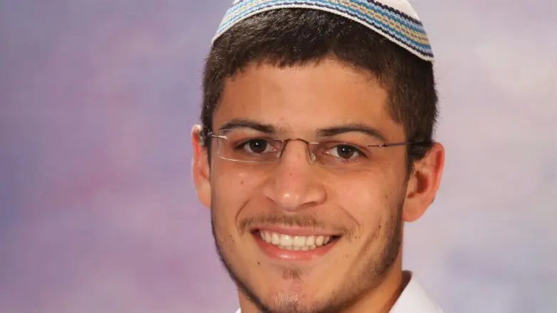 אריה מינקוב