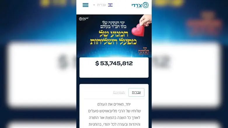 צילום מתוך הקמפיין