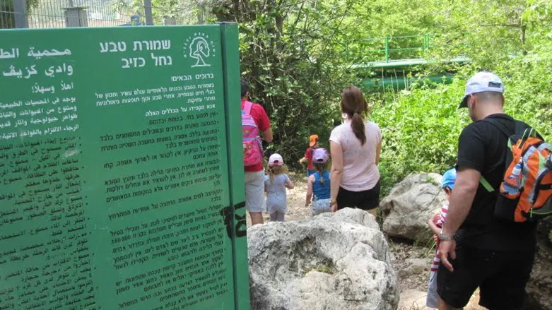 רט''ג. ארכיון
