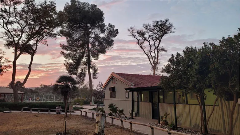 צריף בן גוריון