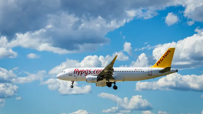 Pegasus Airlines