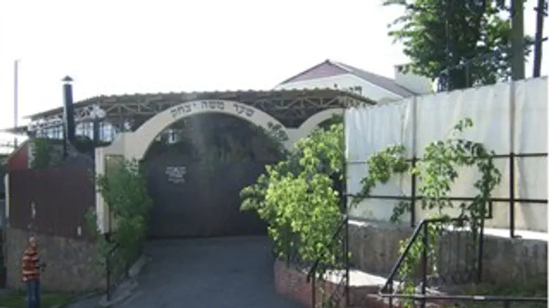 הציון המקושט בענפי ירק