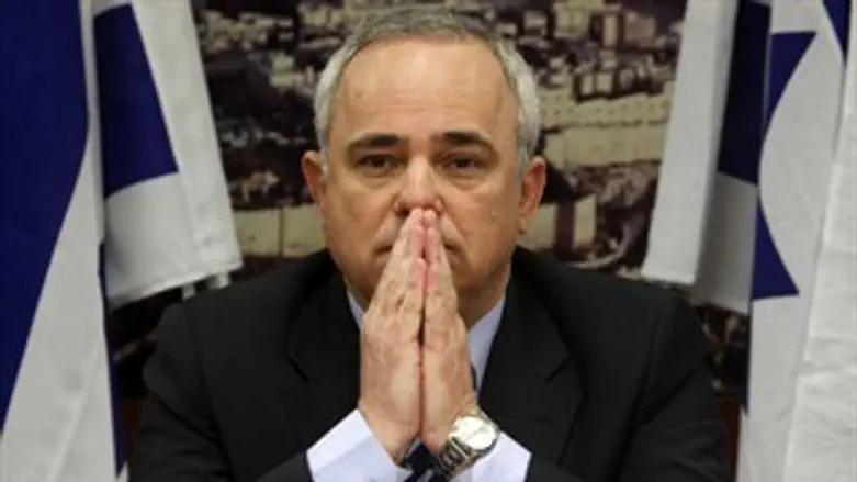 שר האוצר, יובל שטייניץ