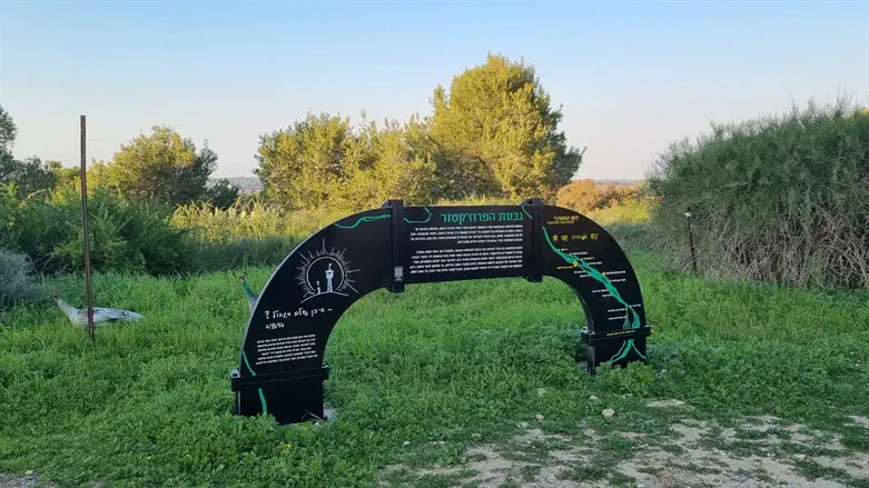 שביל במ"ה - גבעת הפרוז'קטור