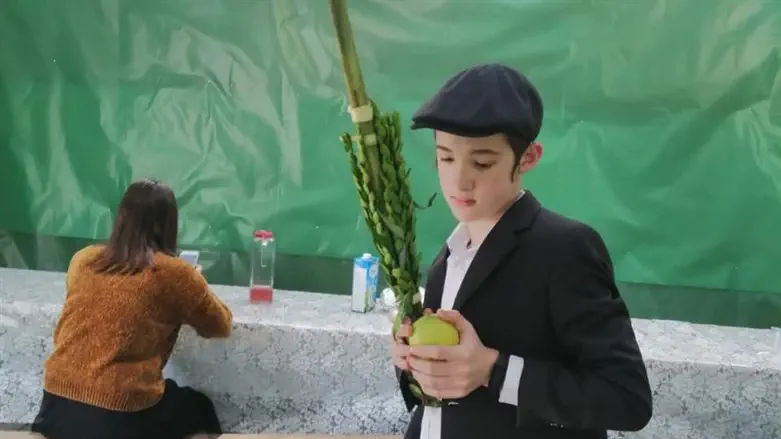 Левик Аксельрод в сукке