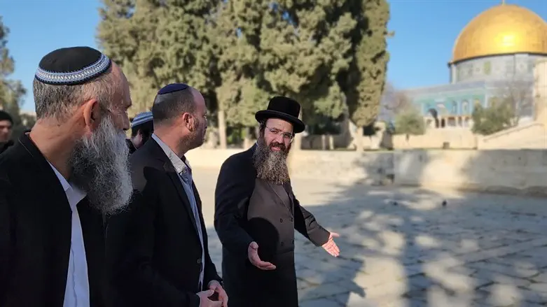 הרב שמשון אלבוים בהר הבית