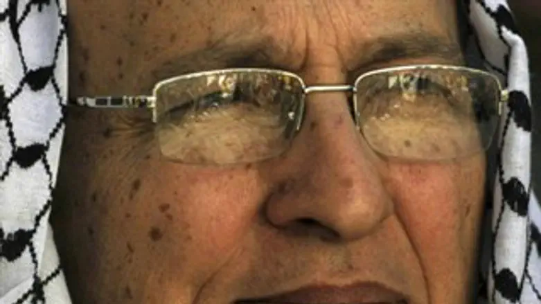 הולכים לאו"ם. נביל שעת'