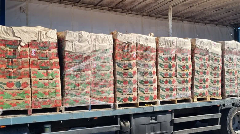 תפיסה של חלק מהירקות