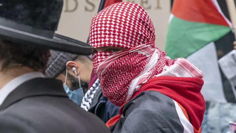 Пропалестинская демонстрация. Иллюстрация