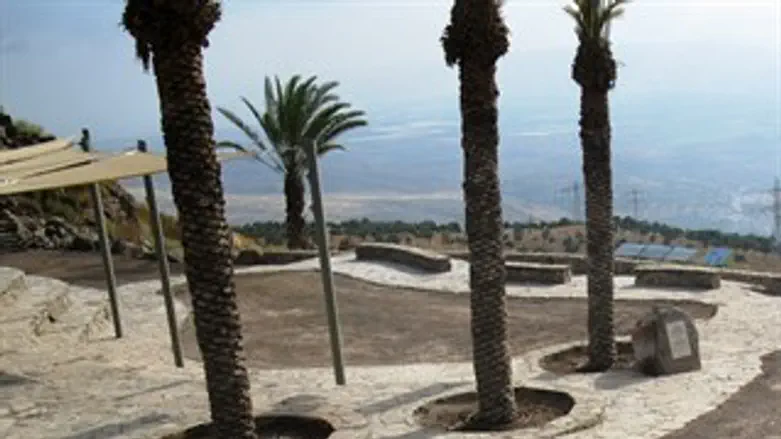 מצפור דן שומרון