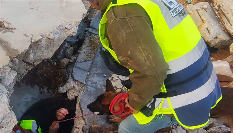 IDU volunteers train for building collapse