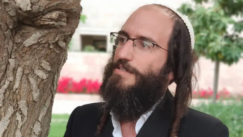 יהודה וילנר