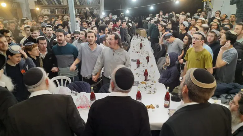 ט"ו בשבט בחומש