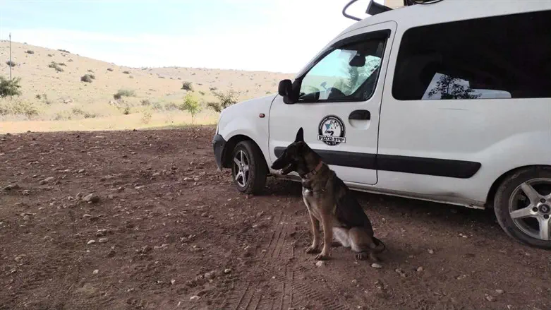 The stolen vehicle