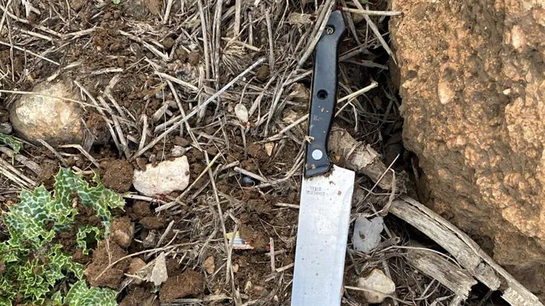 the knife used in the attack