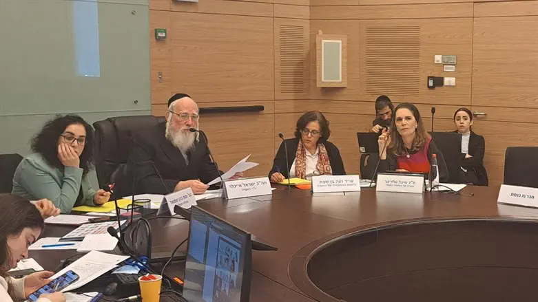 מיכל וולדיגר