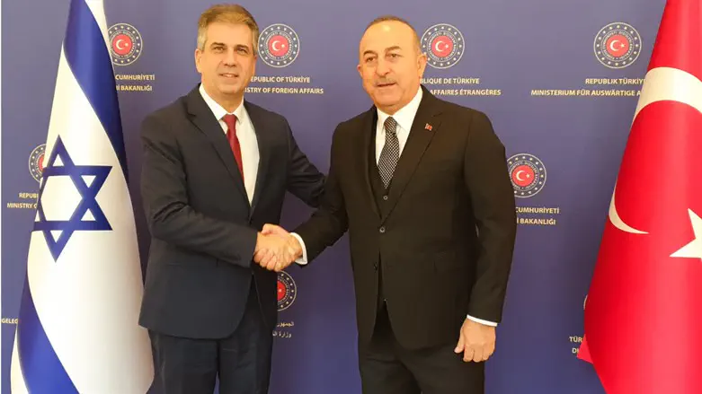 Eli Cohen and Mevlut Çavuşoğlu