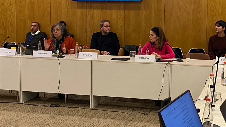 הדיון בועדה