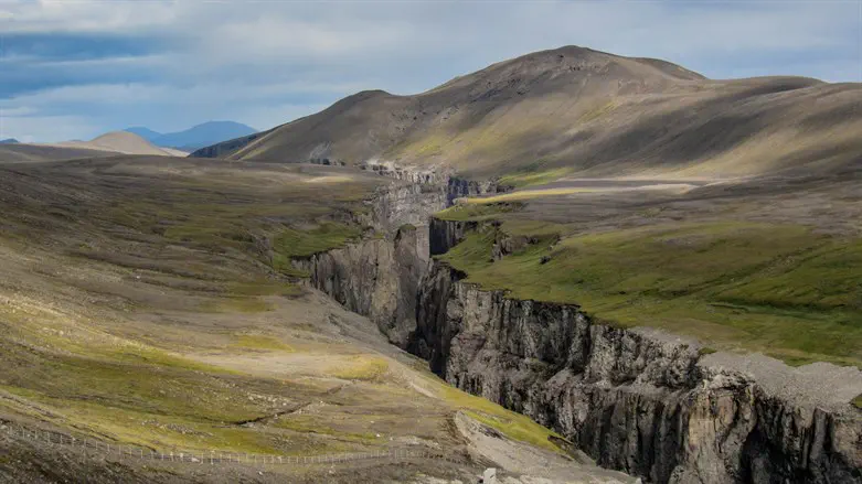אילוסטרציה