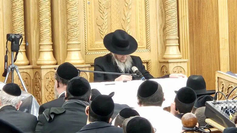 Rabbi Dan Segal