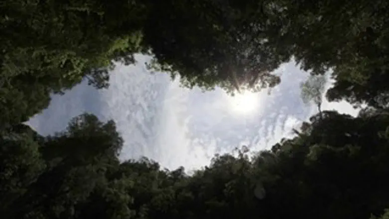 מסוכן שם. לא?