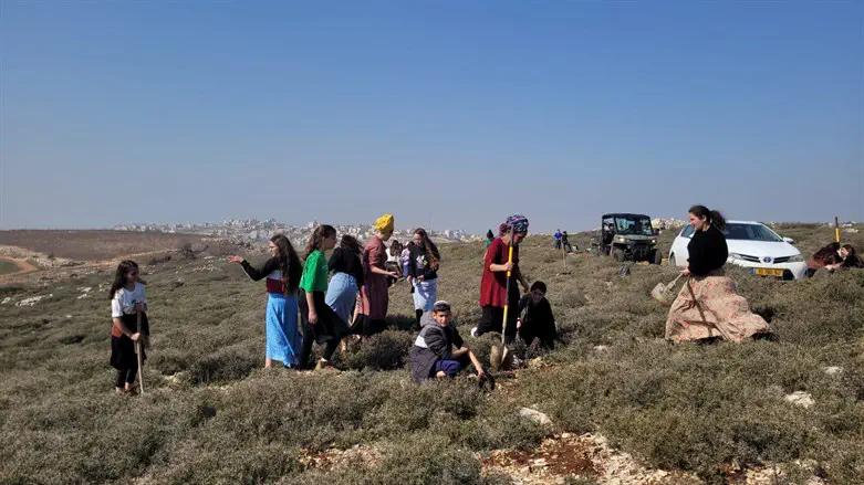 הפעילות להעברת הפרחים הנדירים