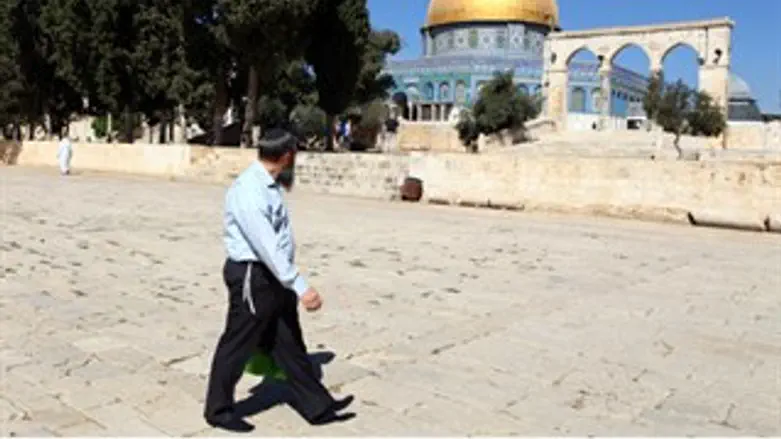 אפליה והשתקה. דתיים בהר הבית