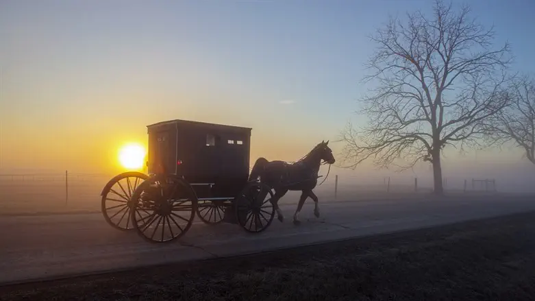 עגלה עם סוס