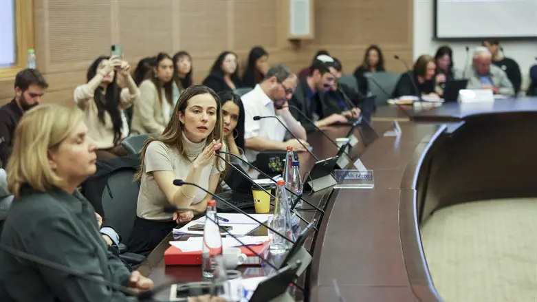 Депутат Кнессета Мерав Коэн на заседании законодательной комиссии