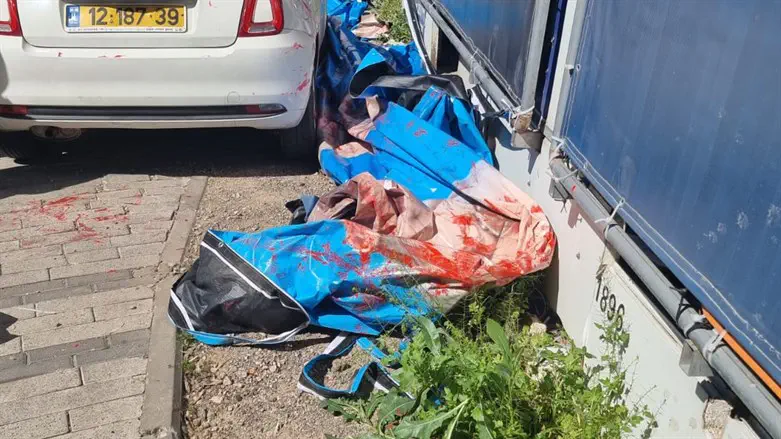 משחיתי הקמפיין