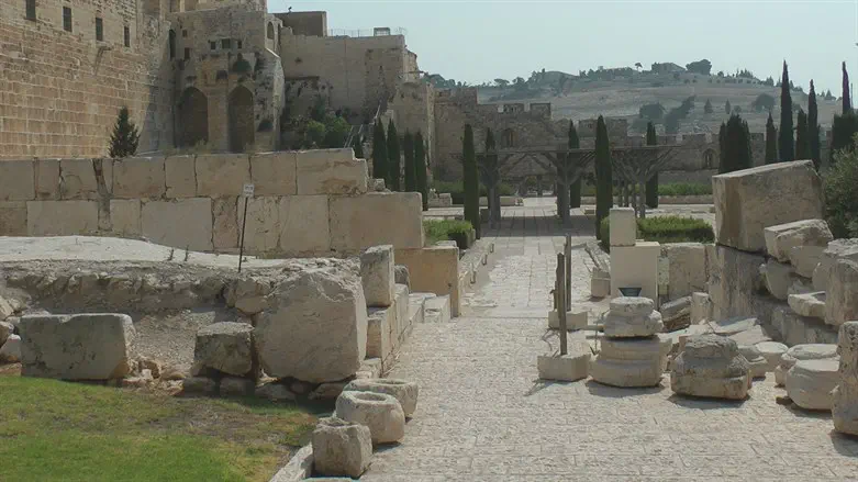 מרכז דוידסון