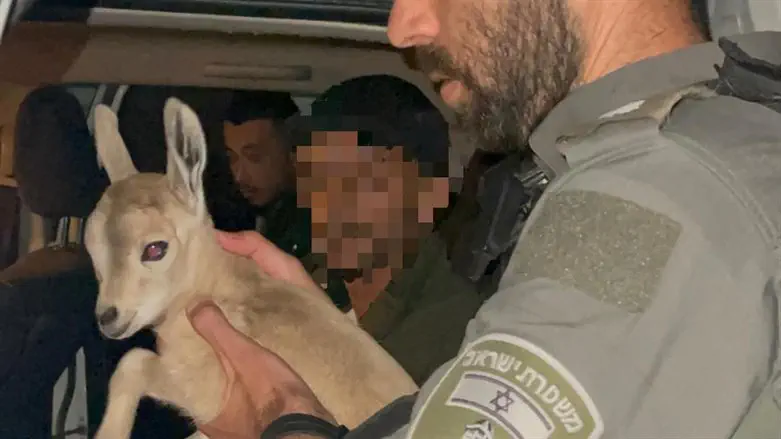 העופר והחשוד שנעצר