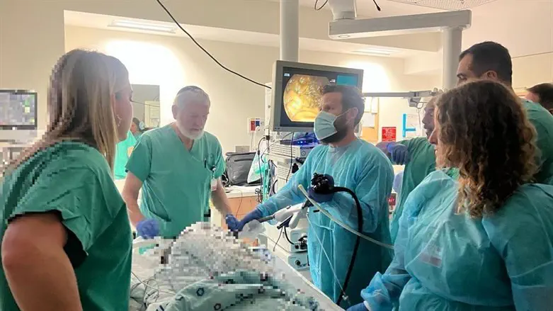 הניתוח בשערי צדק