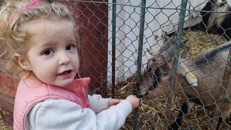 "נגעה בלב של כל מי שראה אותה". הדר נגה לביא ז"ל