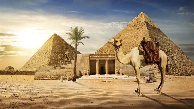 "אם נצא ממצרים זה יהיה קץ הדמוקרטיה!" זעק האספסוף. מצרים