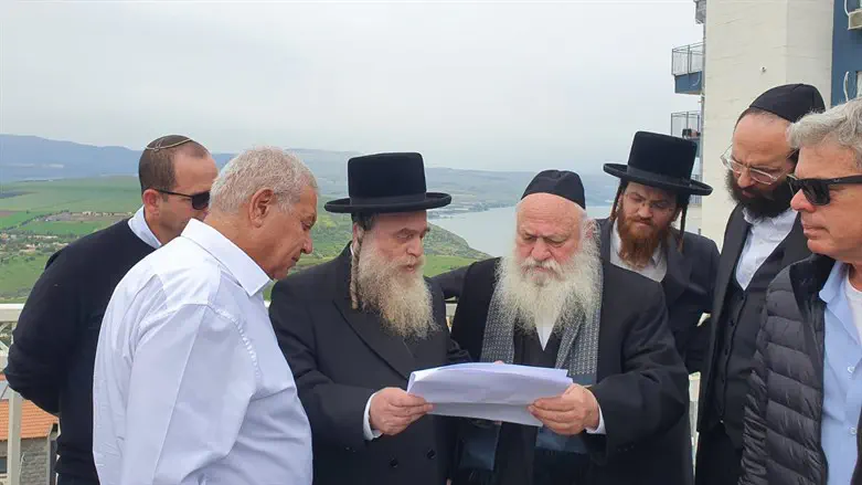 גולדקנופף וצוות משרדו בטבריה