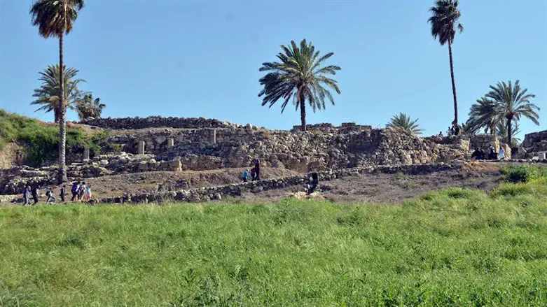 גן לאומי תל מגידו