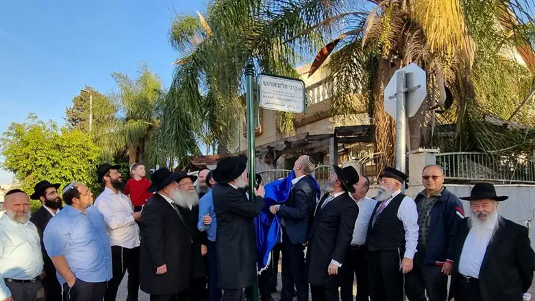 הסרת הלוט מהשלט בלוד