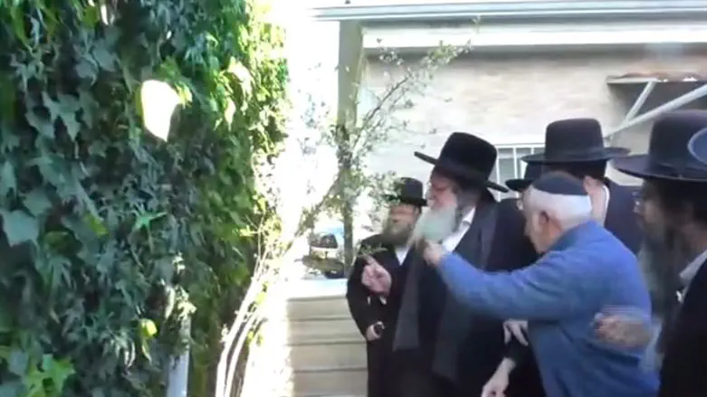 הרב אלתר במעמד