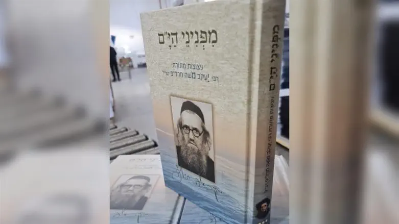 מפנני הי"ם