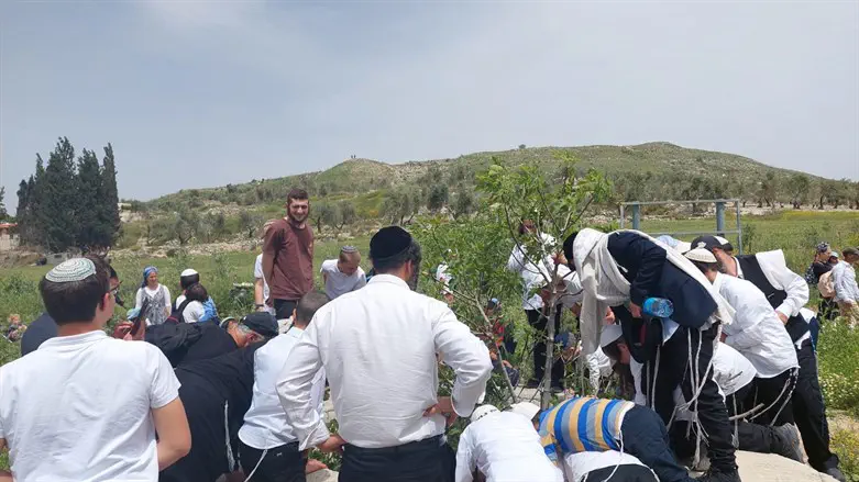 מטיילים בצפון השומרון