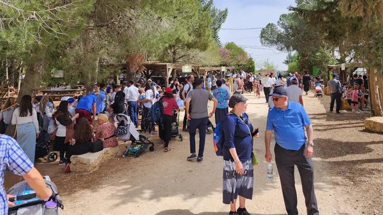 מסלולים למשפחות, מעיינות ואטרקציות תיירותיות